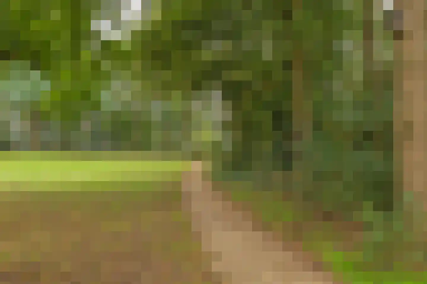 De Hucht 7 's-Heerenberg thumbnail 37