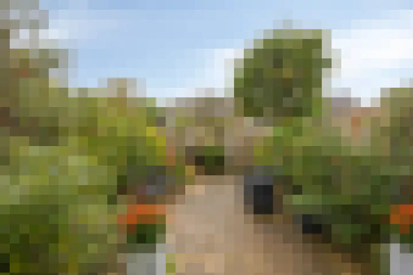 De Hucht 7 's-Heerenberg thumbnail 5