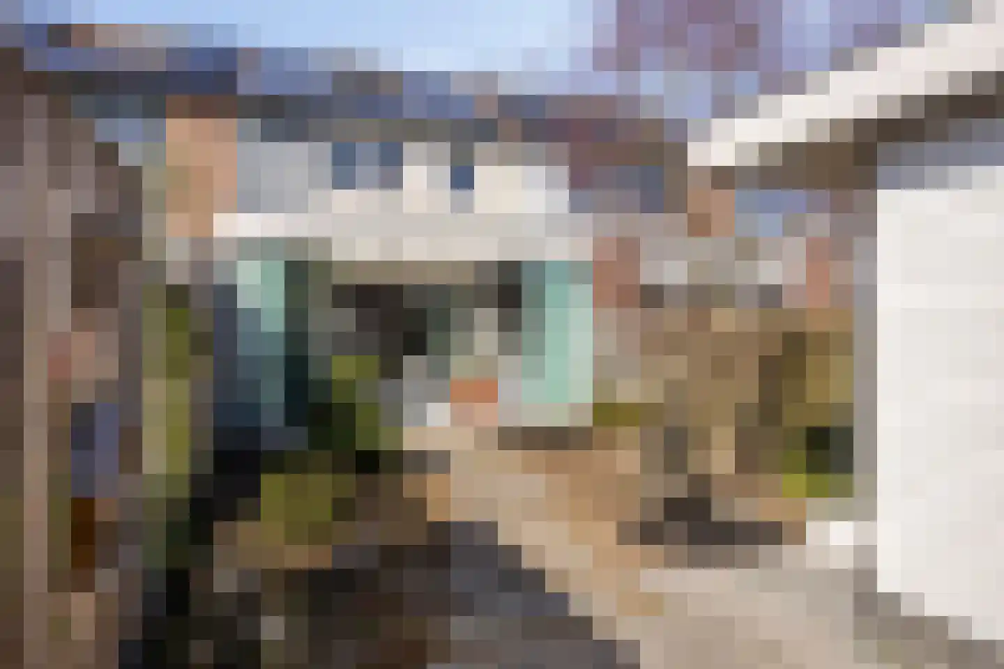 De Hucht 9 's-Heerenberg thumbnail 33
