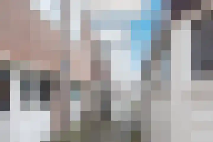 De Huesmolen 103 Hoorn thumbnail 7