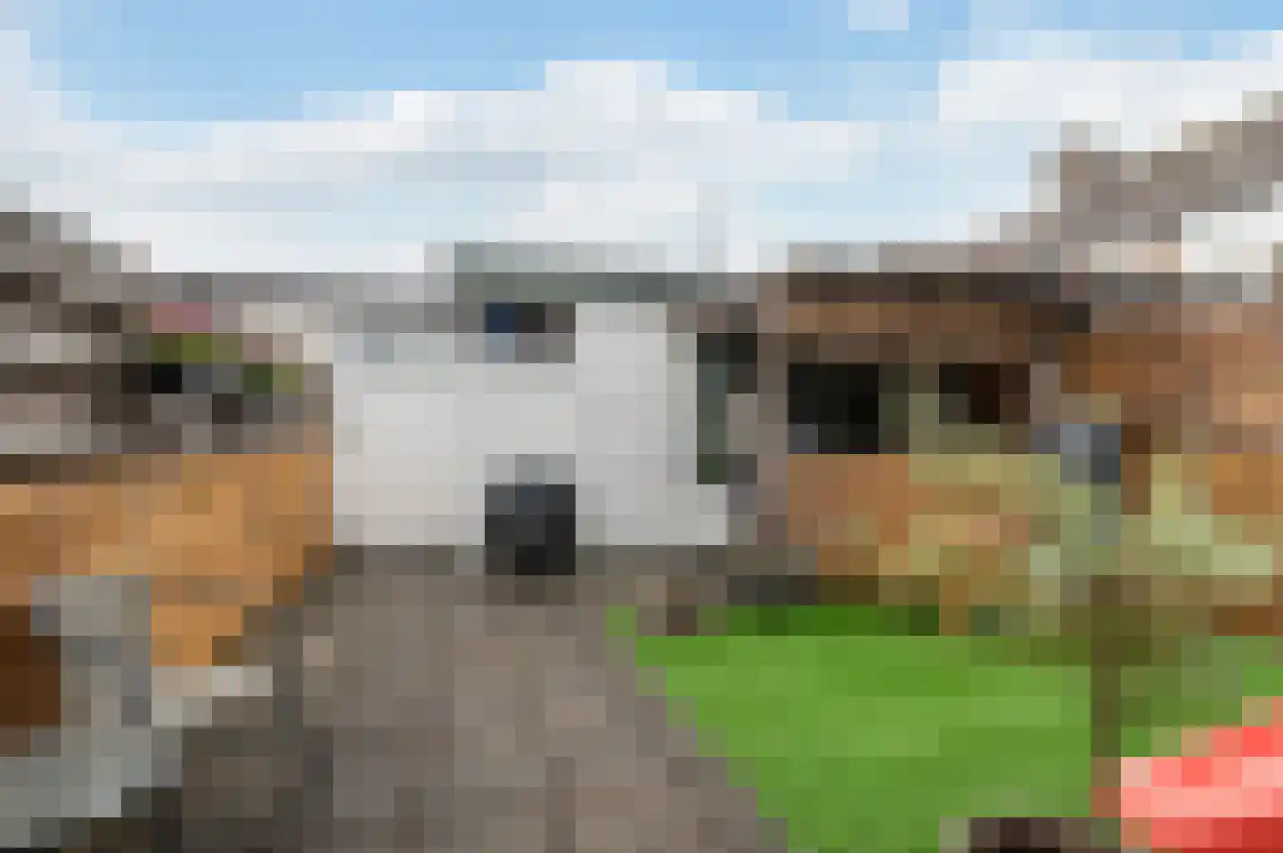 De Huesmolen 124 Hoorn thumbnail 31