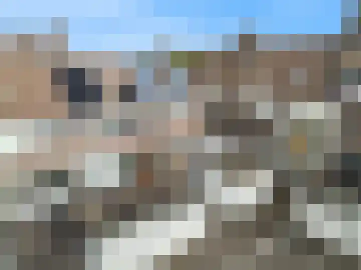 De Huesmolen 127 Hoorn thumbnail 11