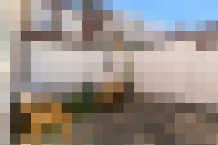 De Huesmolen 127 Hoorn thumbnail 6