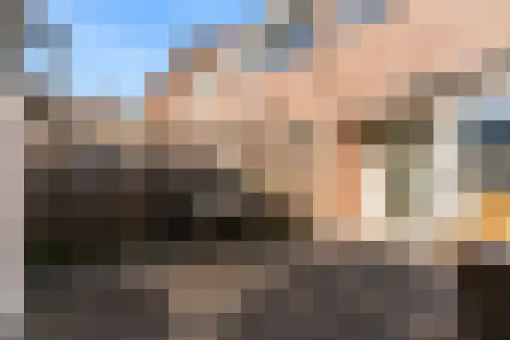 De Huesmolen 127 Hoorn thumbnail 9