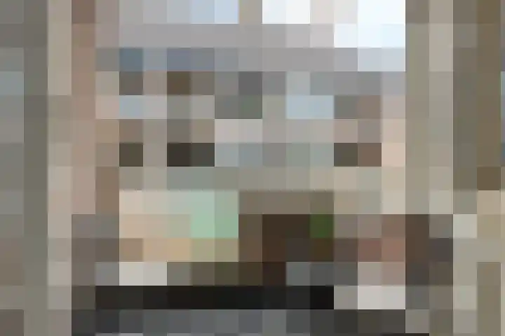 De Huesmolen 132 Hoorn thumbnail 20
