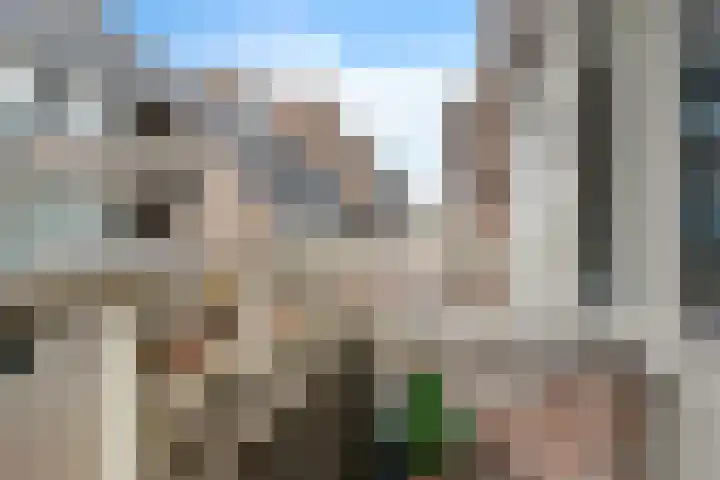 De Huesmolen 132 Hoorn thumbnail 21