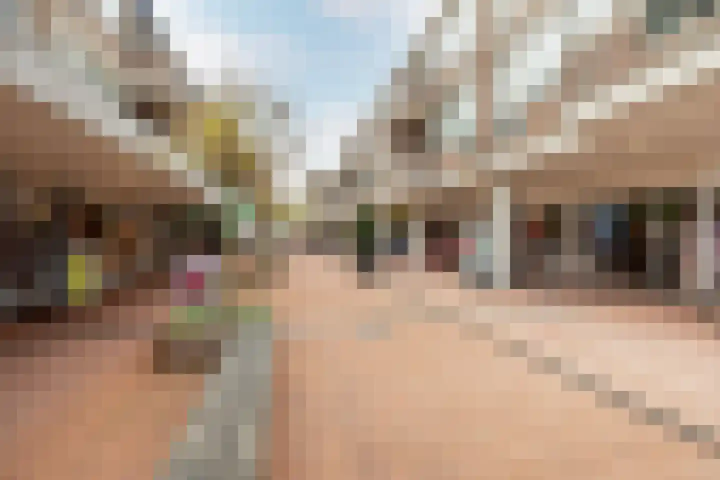 De Huesmolen 143 Hoorn thumbnail 23