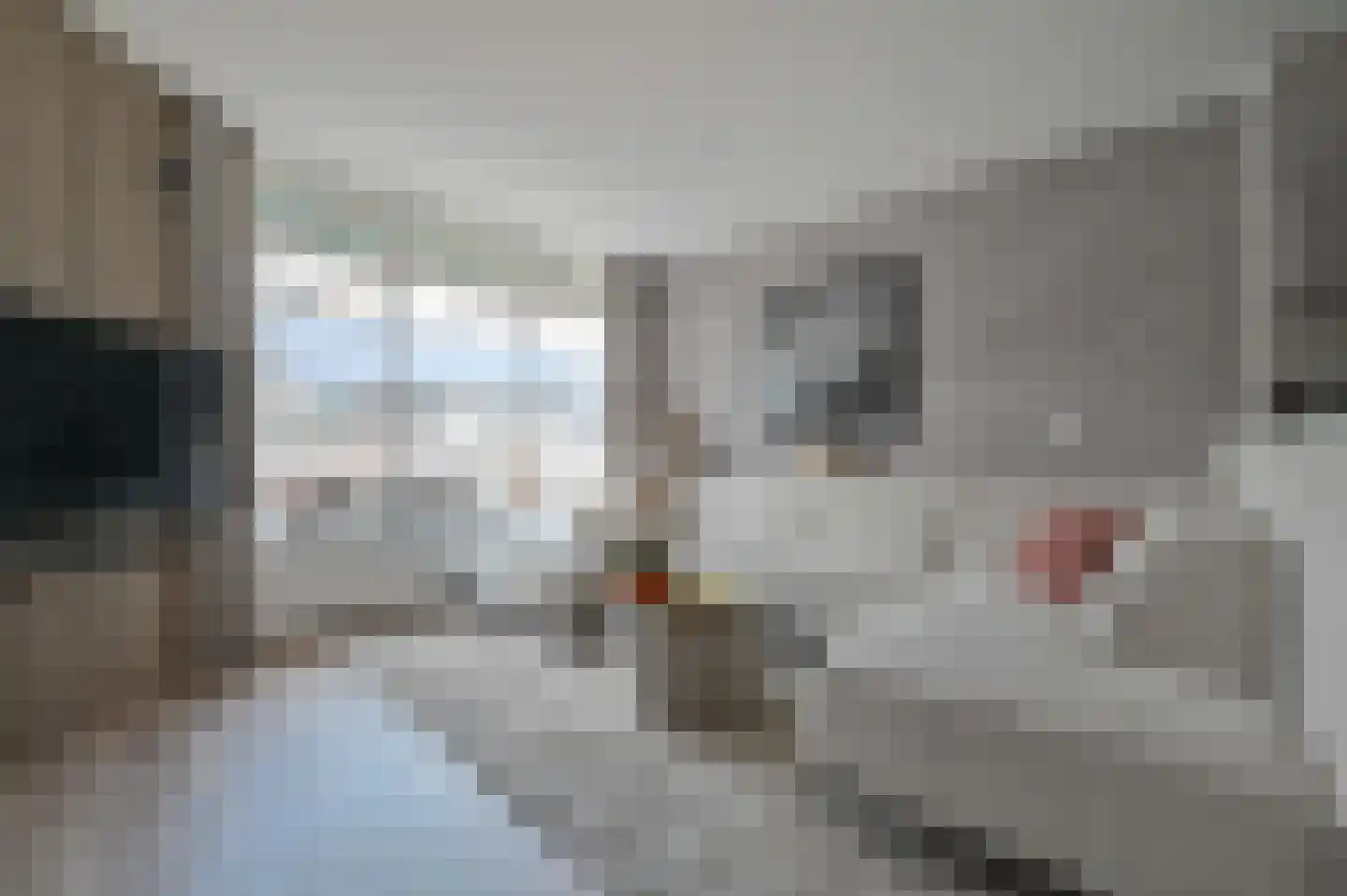 De Huesmolen 32 Hoorn thumbnail 4