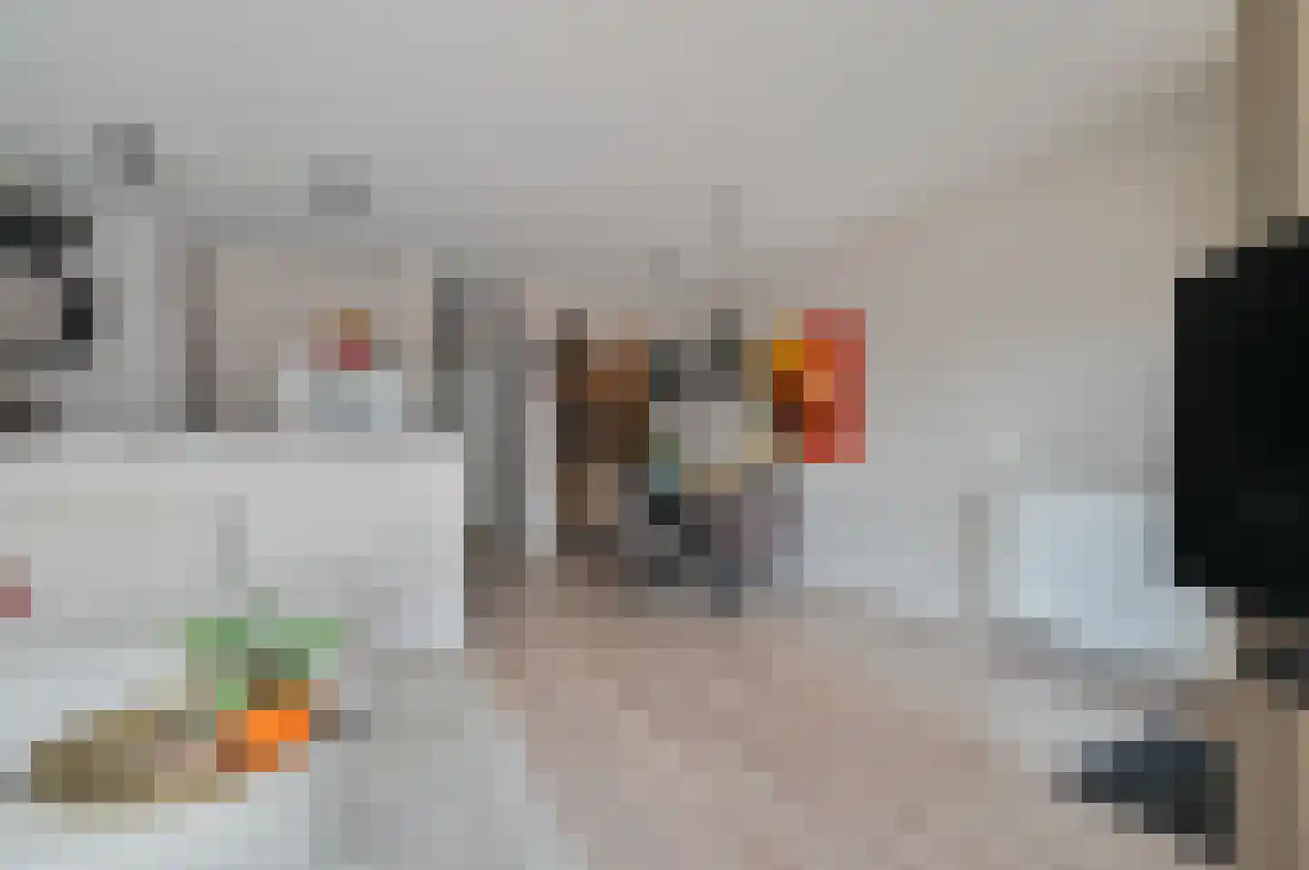 De Huesmolen 32 Hoorn thumbnail 8
