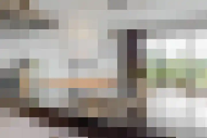 De Huesmolen 42 Hoorn thumbnail 10