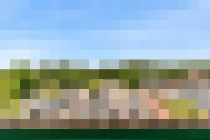 De Huesmolen 42 Hoorn thumbnail 20