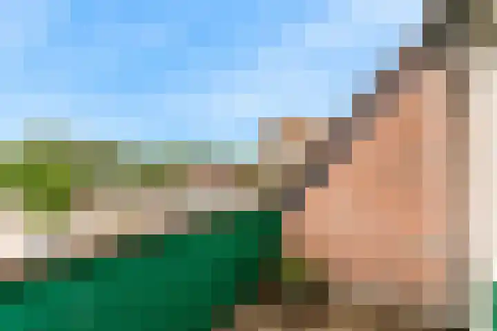 De Huesmolen 42 Hoorn thumbnail 21