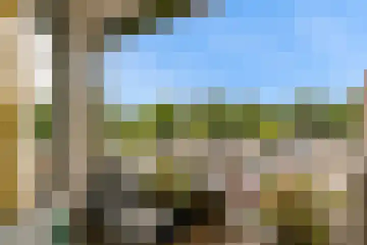 De Huesmolen 42 Hoorn thumbnail 5
