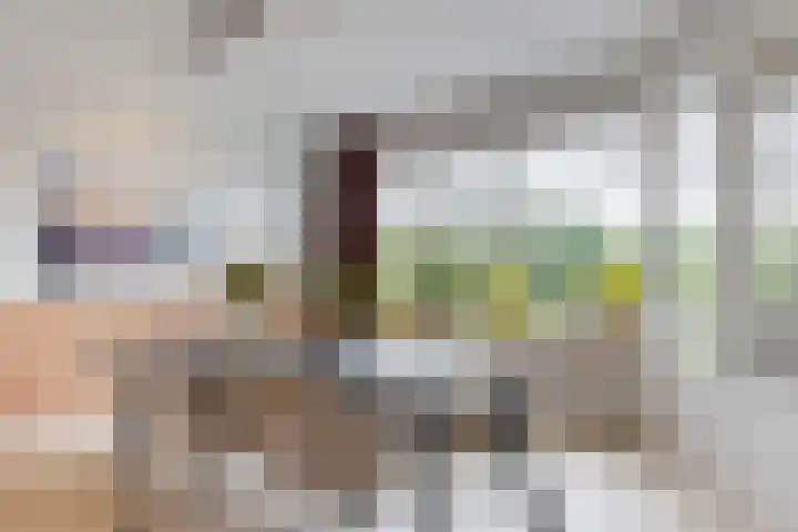 De Huesmolen 42 Hoorn thumbnail 8