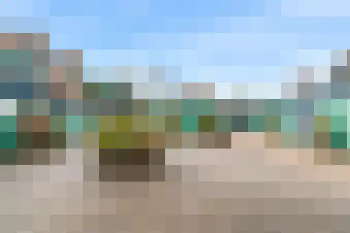 De Huesmolen 48 Hoorn thumbnail 23