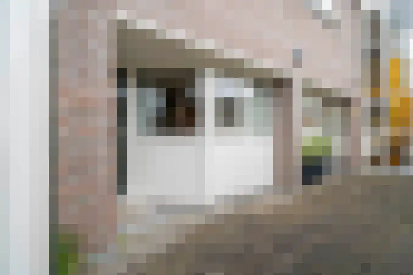 De Huesmolen 81 Hoorn thumbnail 18