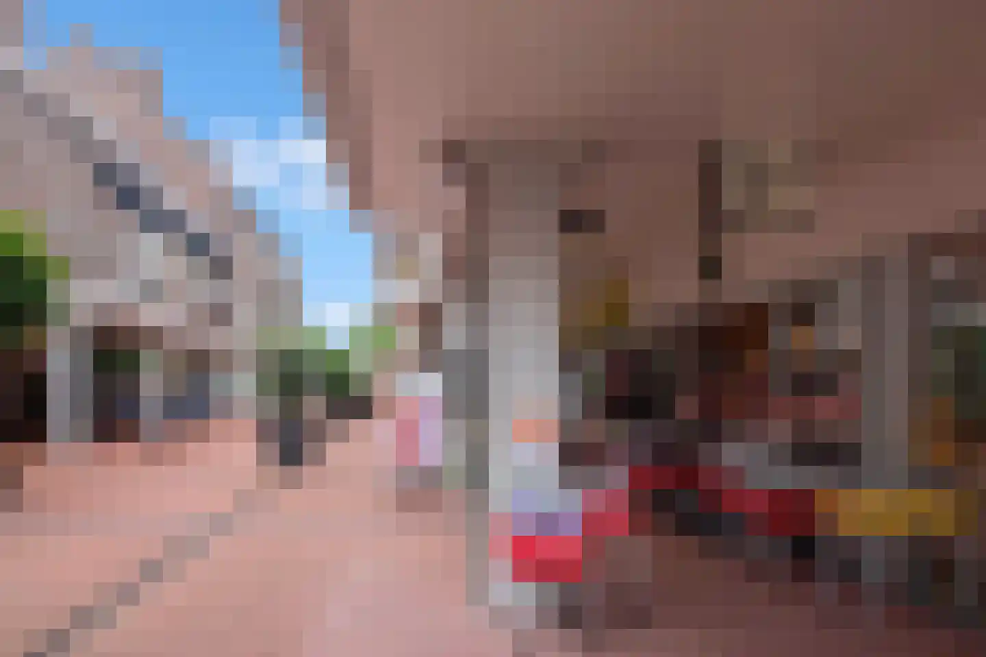De Huesmolen 81 Hoorn thumbnail 25