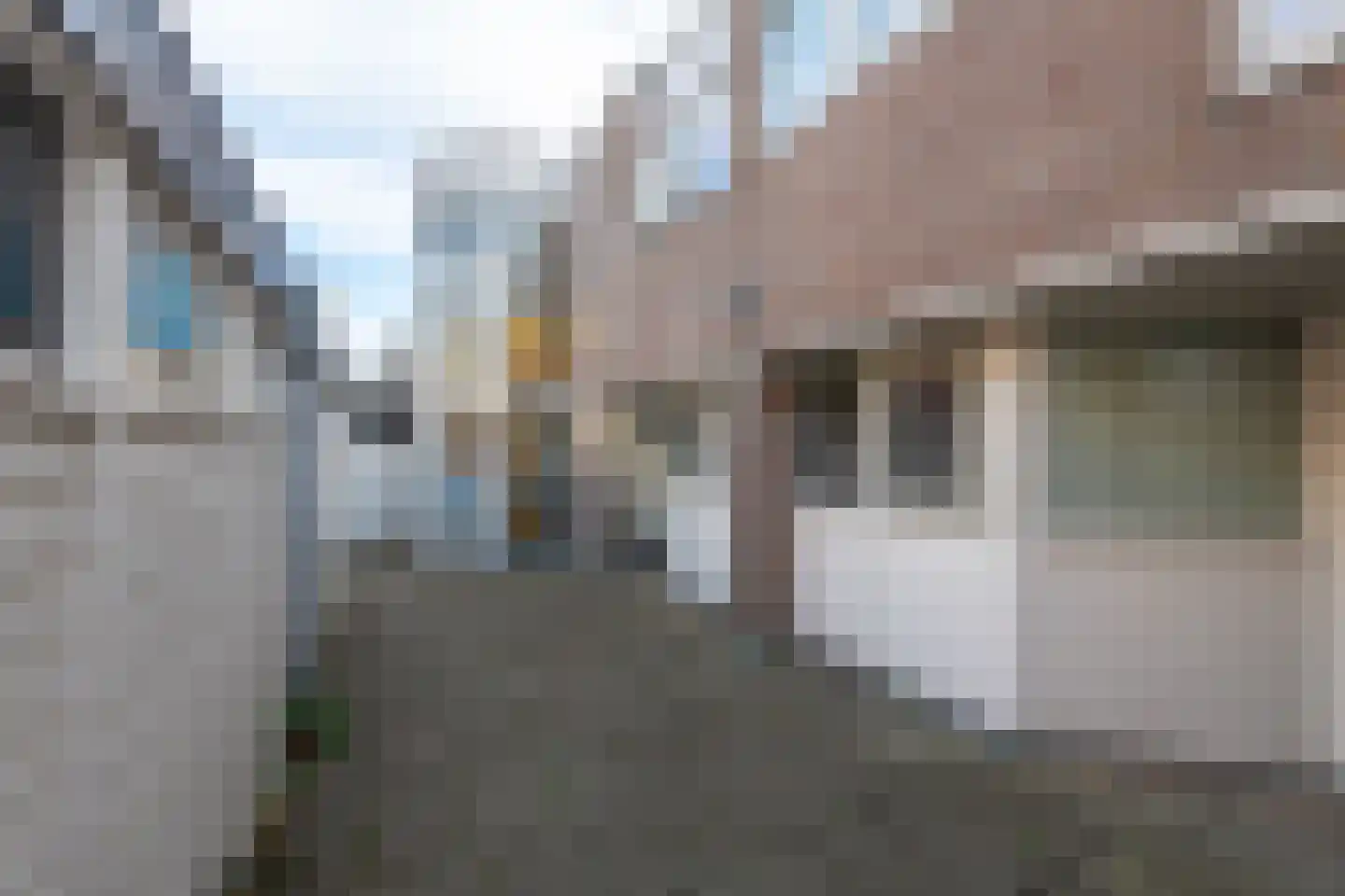 De Huesmolen 93 Hoorn thumbnail 11