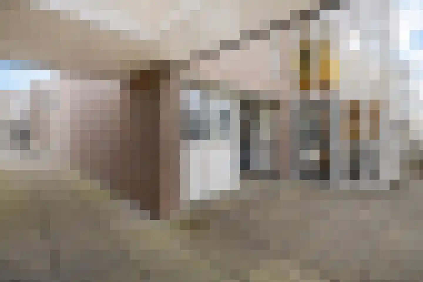 De Huesmolen 98 Hoorn thumbnail 23