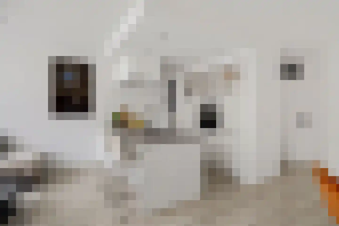 De Huesmolen 98 Hoorn thumbnail 6