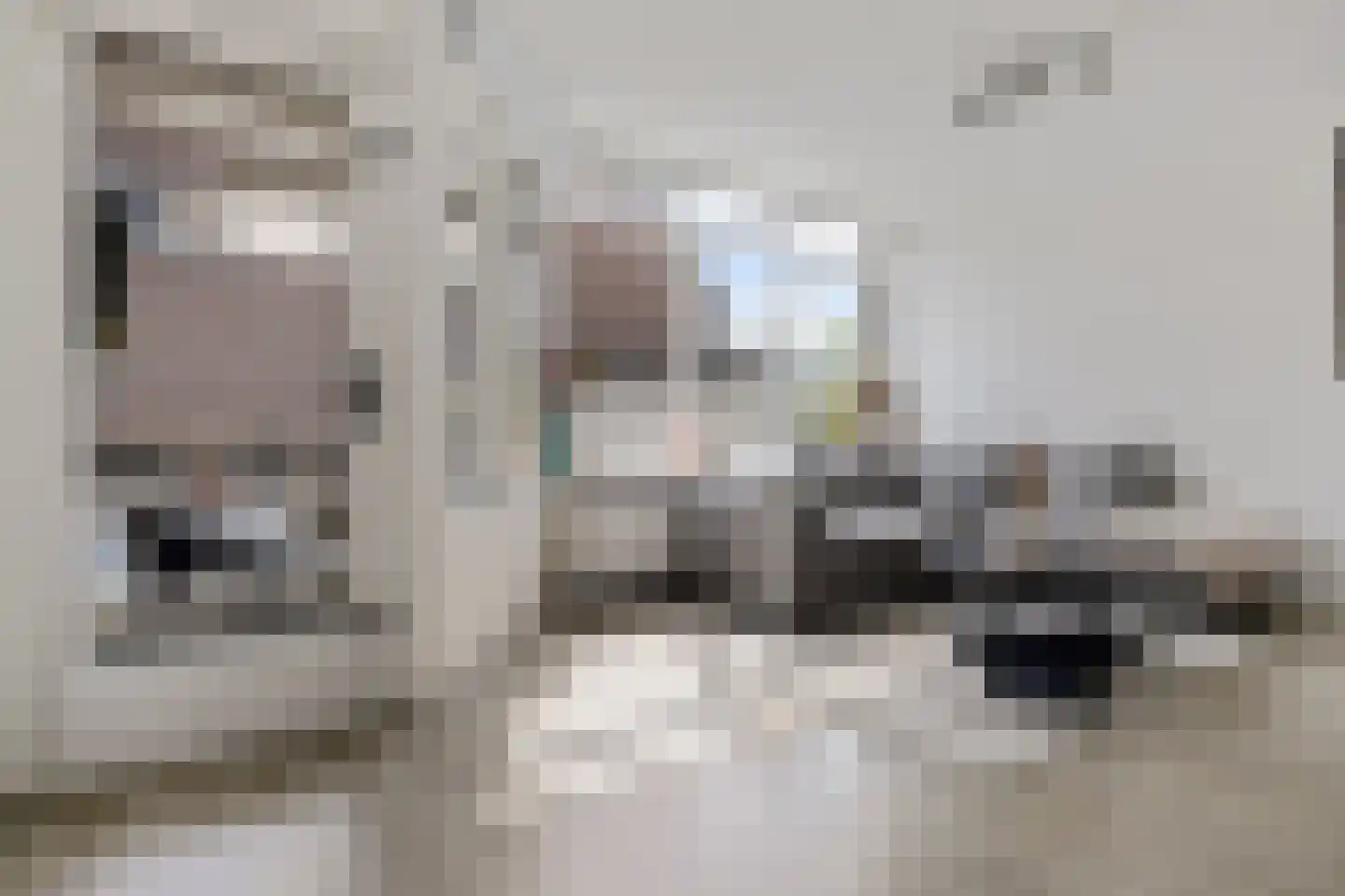De Huesmolen 98 Hoorn thumbnail 8