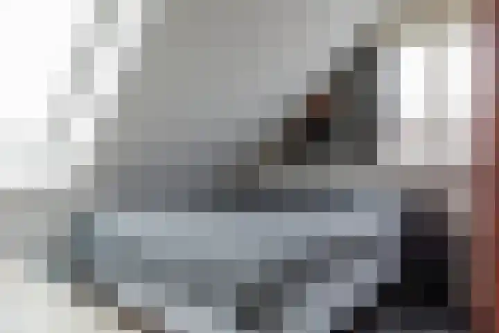De Huesmolen 99 Hoorn thumbnail 19