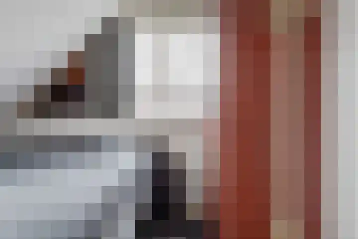 De Huesmolen 99 Hoorn thumbnail 20
