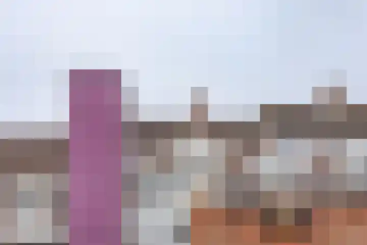 De Huesmolen 99 Hoorn thumbnail 28