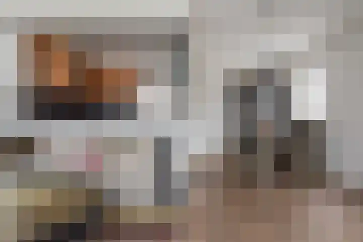 De Huesmolen 99 Hoorn thumbnail 6