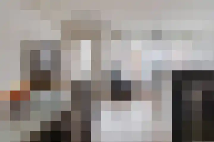 De Huesmolen 99 Hoorn thumbnail 9