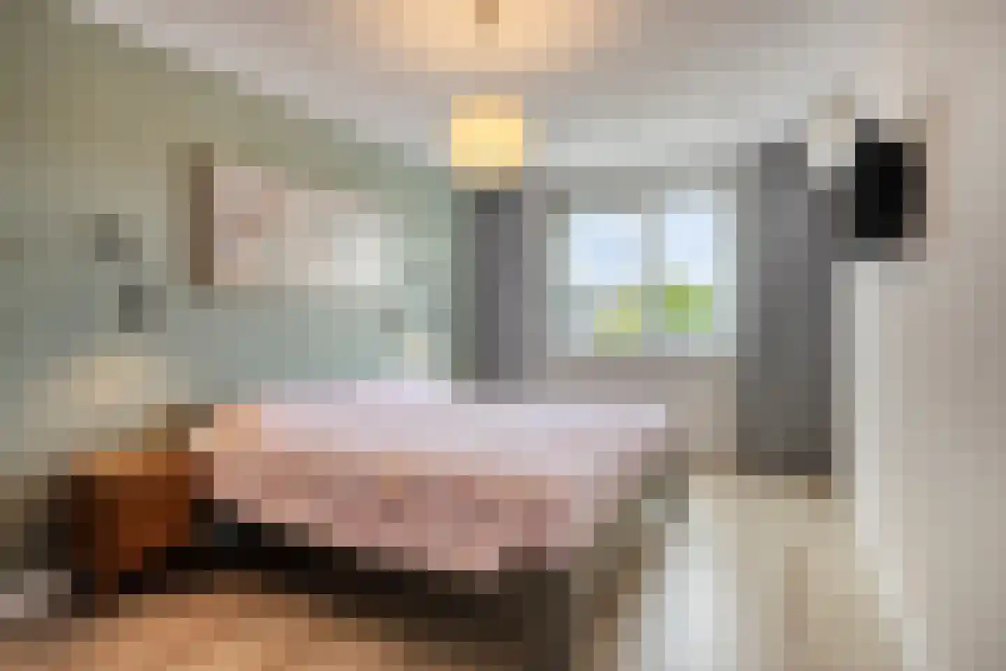 de Huif 14 Valkenswaard thumbnail 24