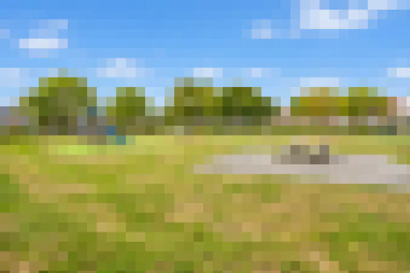 de Huif 14 Valkenswaard thumbnail 39