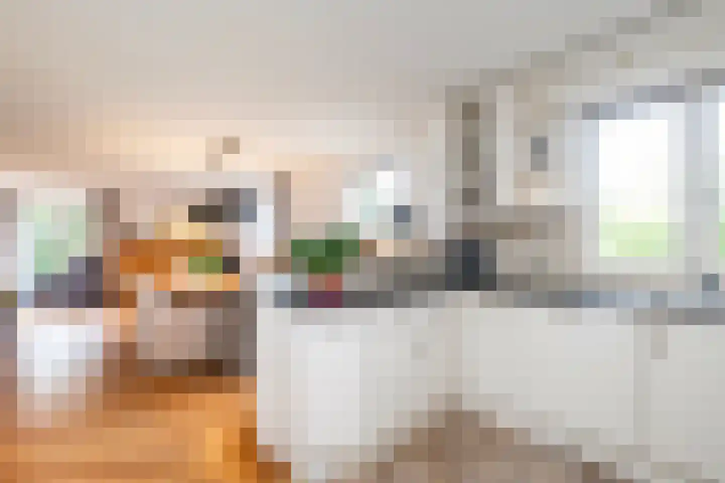 De Huifkar 10 Biddinghuizen thumbnail 12