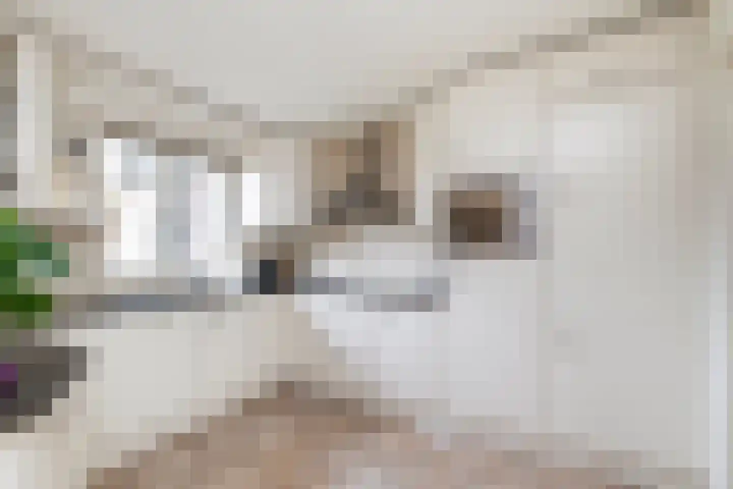 De Huifkar 10 Biddinghuizen thumbnail 13
