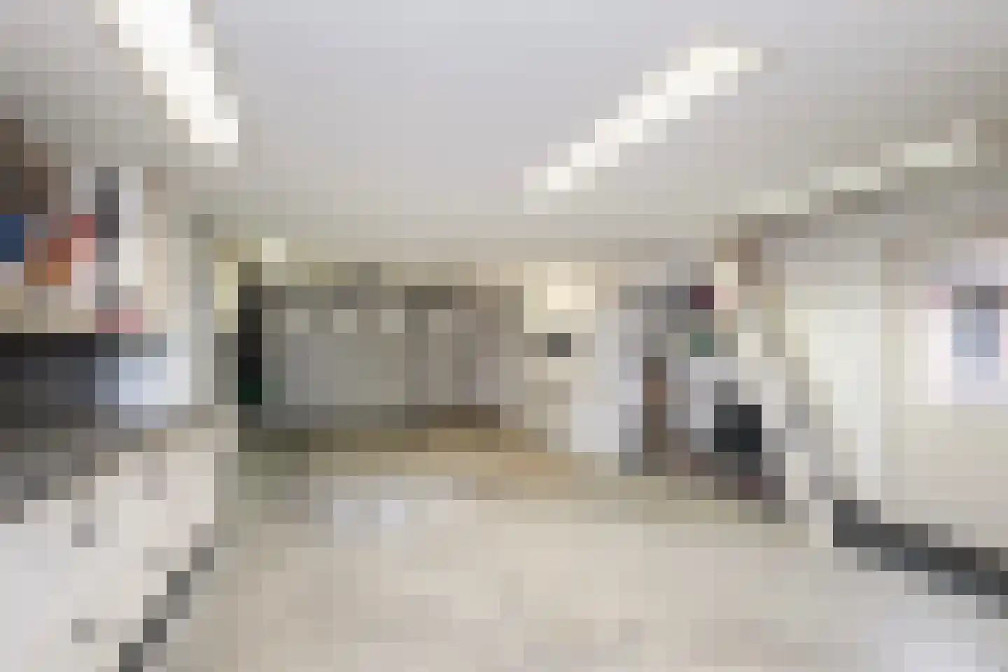 De Huifkar 10 Biddinghuizen thumbnail 14