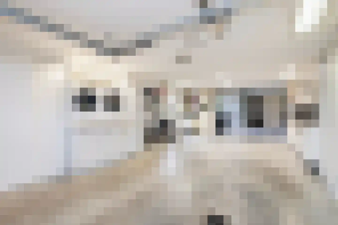 De Huifkar 10 Biddinghuizen thumbnail 15