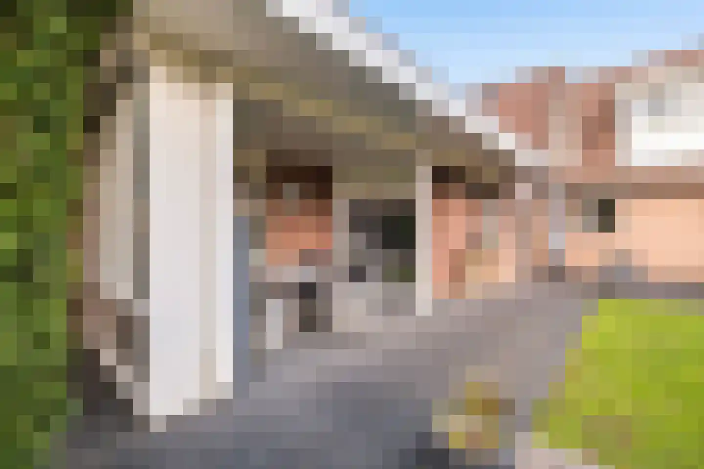 De Huifkar 10 Biddinghuizen thumbnail 28