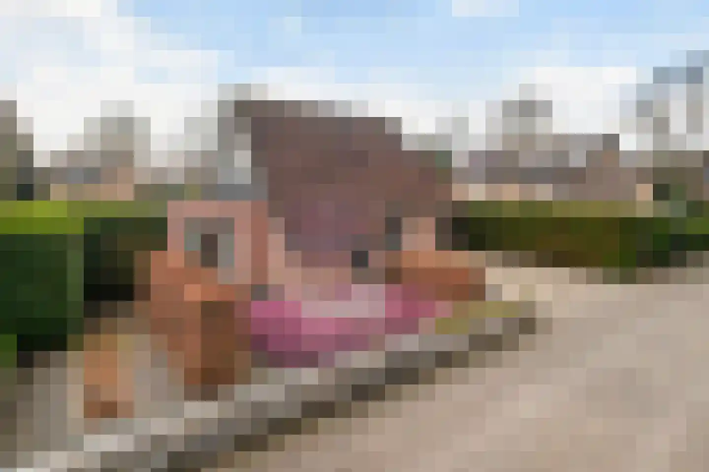 De Huifkar 10 Biddinghuizen thumbnail 33