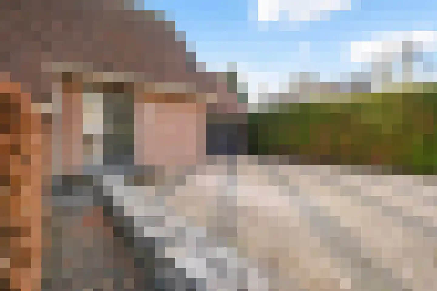 De Huifkar 10 Biddinghuizen thumbnail 34