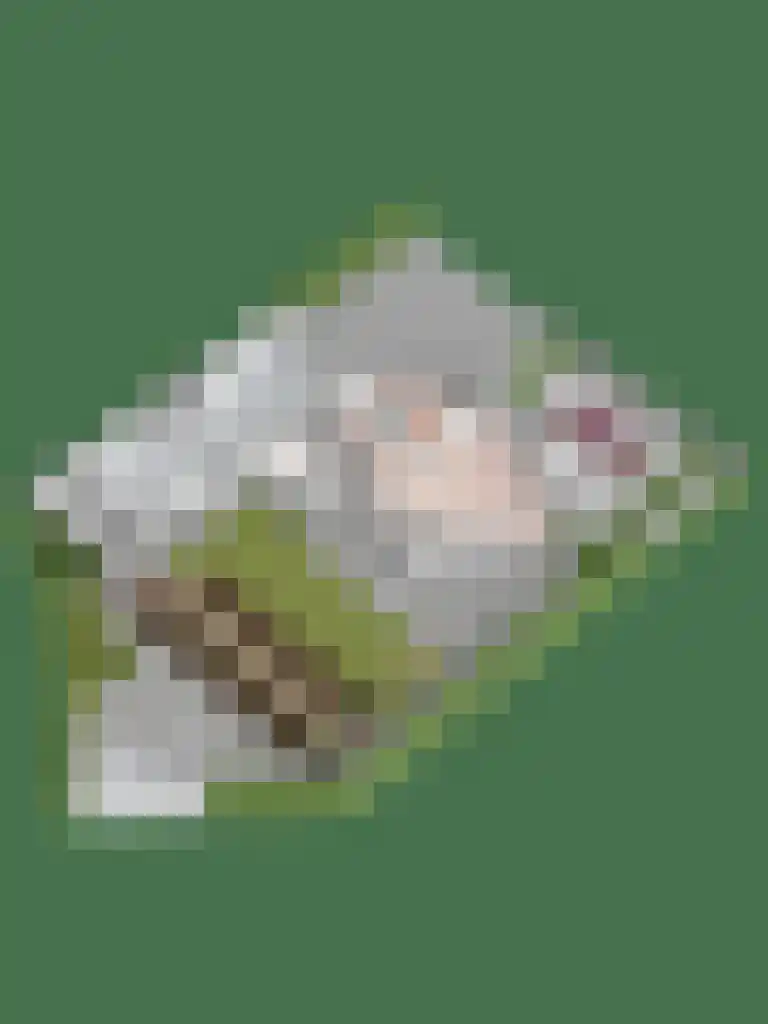 De Huifkar 10 Biddinghuizen thumbnail 42