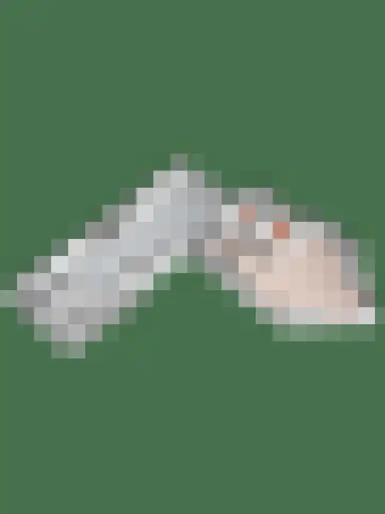 De Huifkar 10 Biddinghuizen thumbnail 43