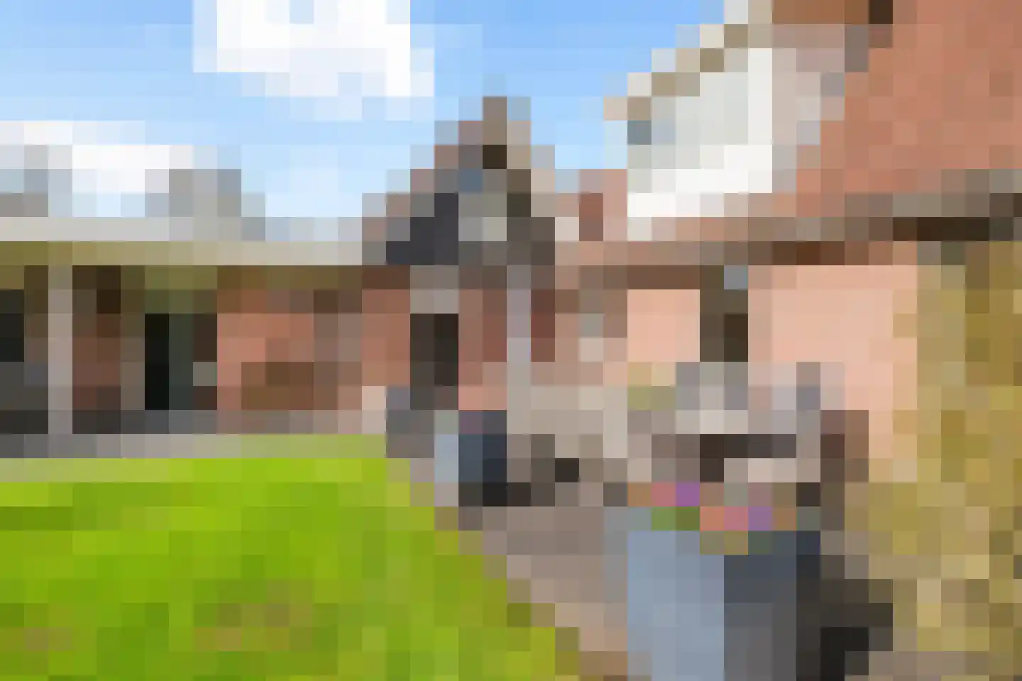 De Huifkar 10 Biddinghuizen thumbnail 6