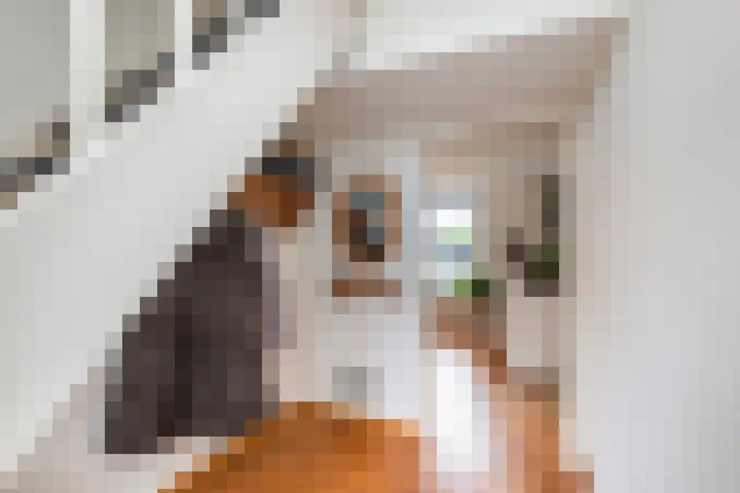 De Huifkar 10 Biddinghuizen thumbnail 7