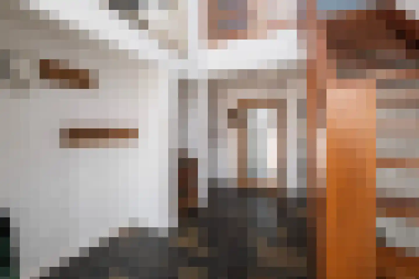 De Huifkar 15 Biddinghuizen thumbnail 14