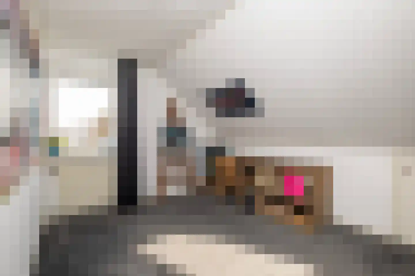 De Huifkar 15 Biddinghuizen thumbnail 19