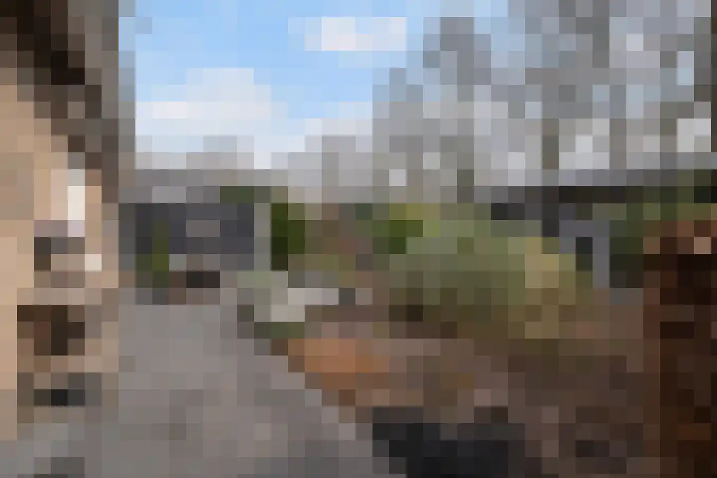 De Huifkar 15 Biddinghuizen thumbnail 21
