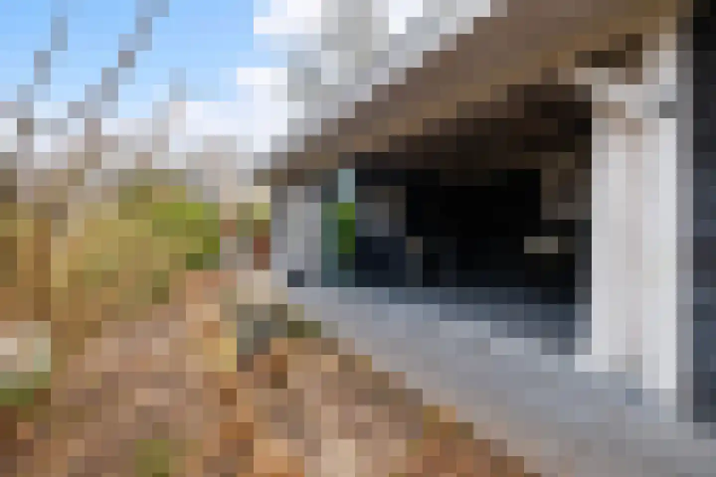 De Huifkar 15 Biddinghuizen thumbnail 24