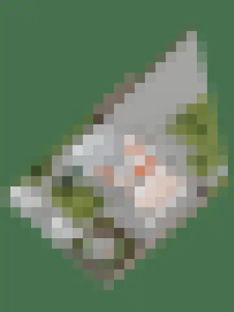 De Huifkar 15 Biddinghuizen thumbnail 33