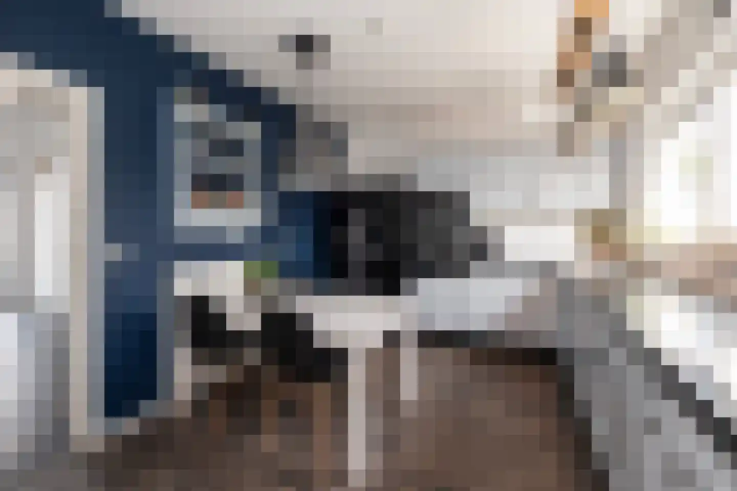 De Huifkar 15 Biddinghuizen thumbnail 8