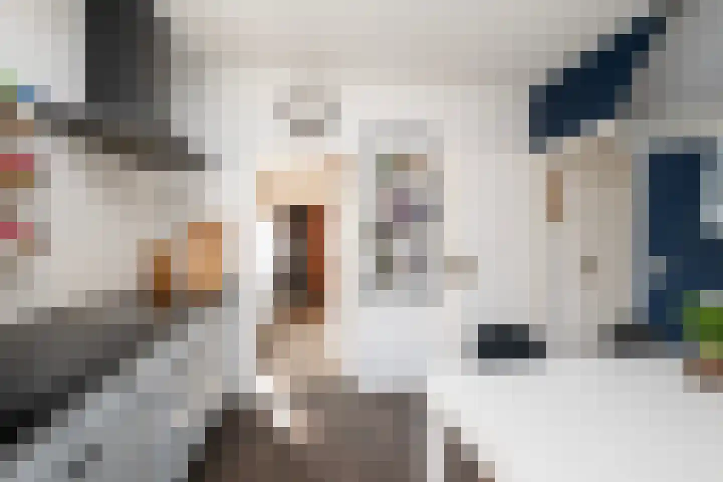 De Huifkar 15 Biddinghuizen thumbnail 9